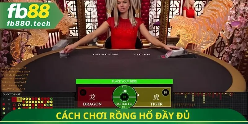 Cách chơi rồng hổ đầy đủ