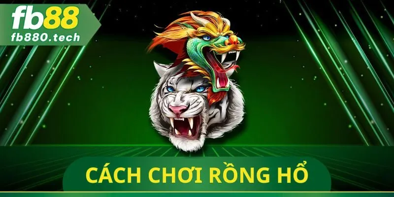 Cách Chơi Rồng Hổ