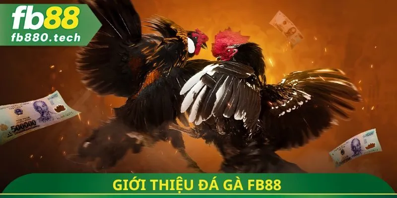 Giới thiệu đá gà fb88