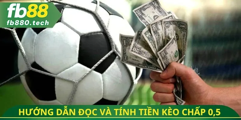 Hướng dẫn đọc và tính tiền kèo chấp 0,5
