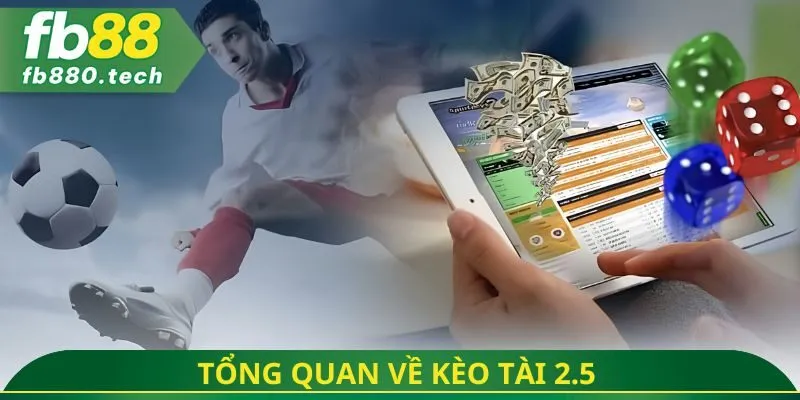 Tổng quan về kèo tài 2.5